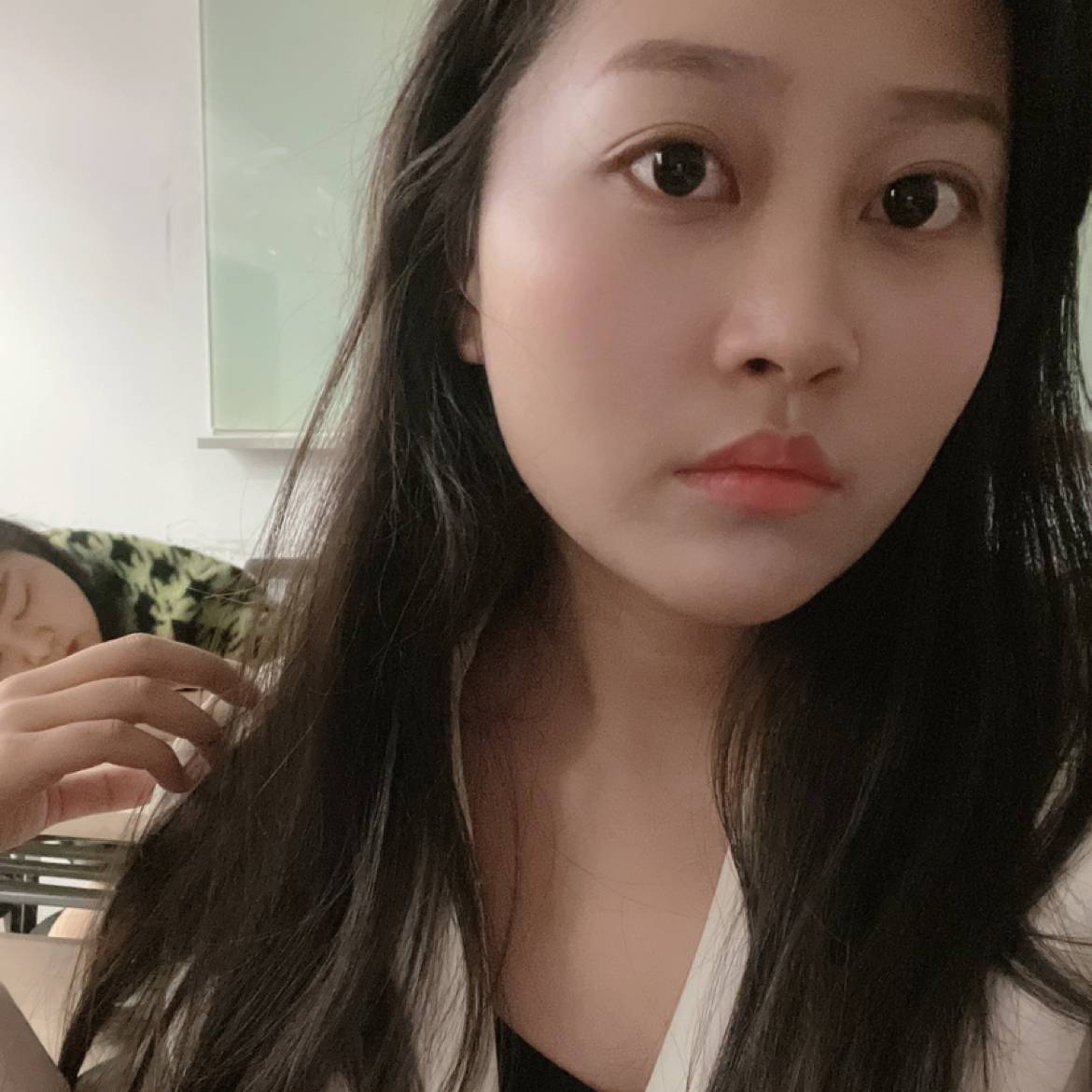 鳗鱼苦恋夏露，的照片