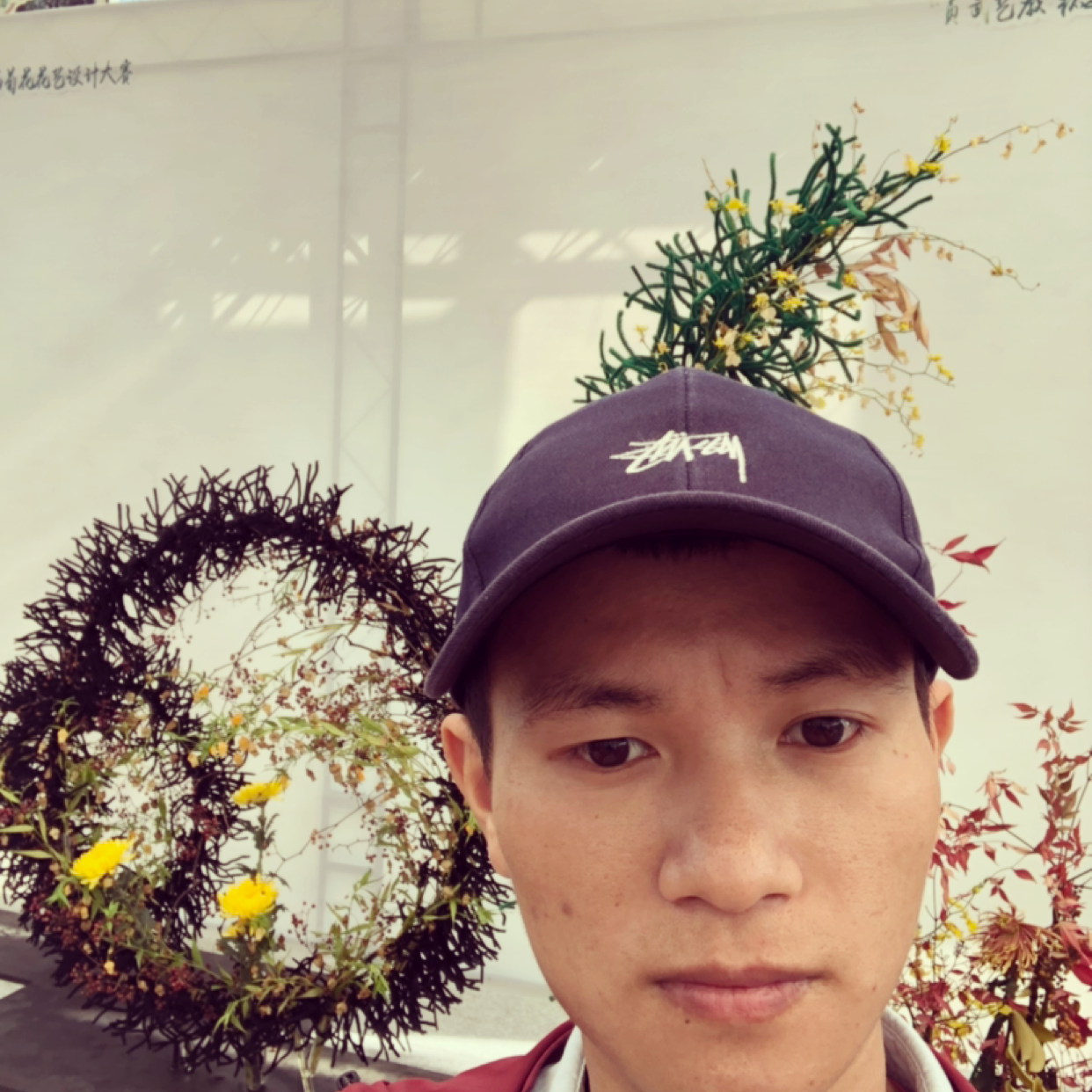 天空等于英勇的照片