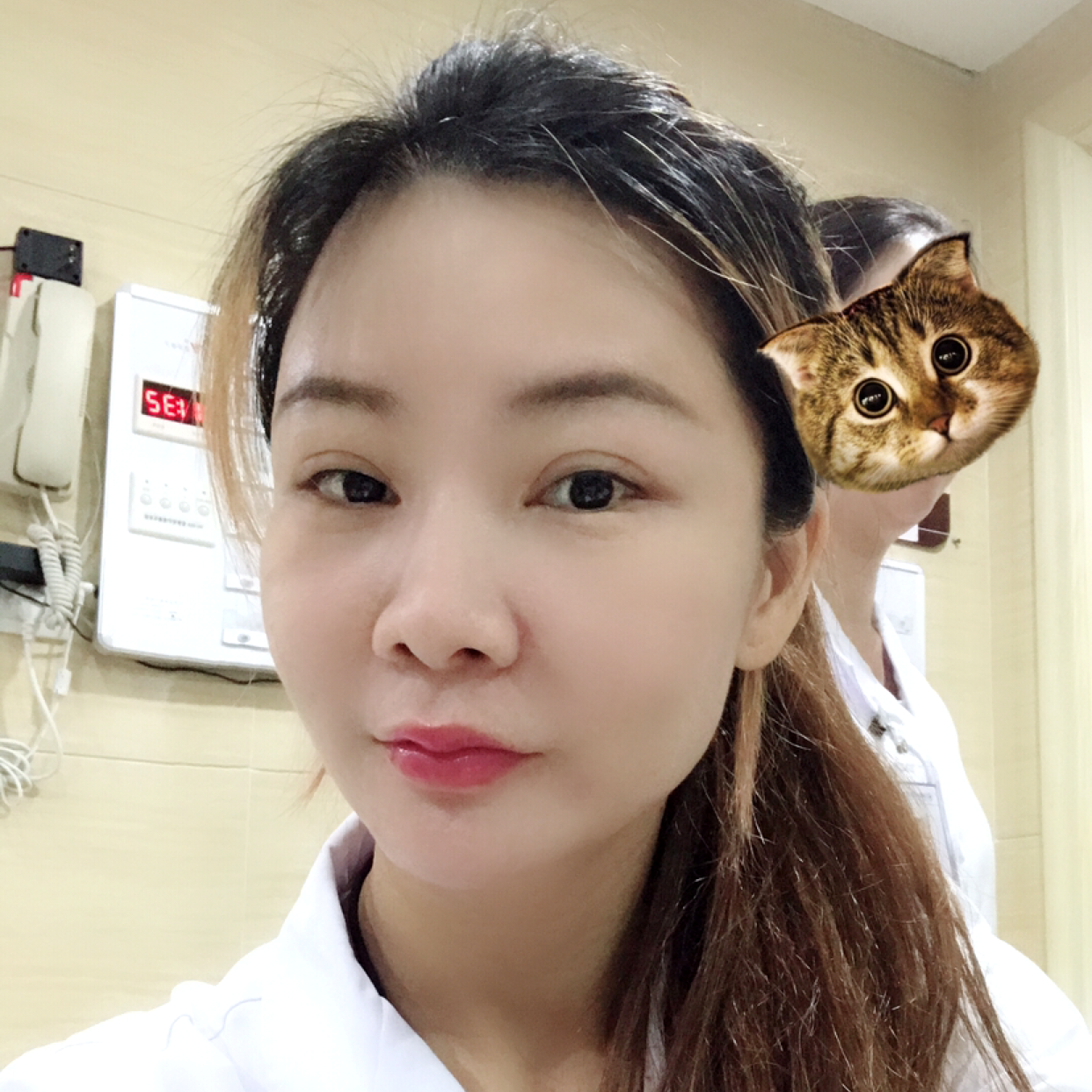 蚂蚁愿高贵的照片