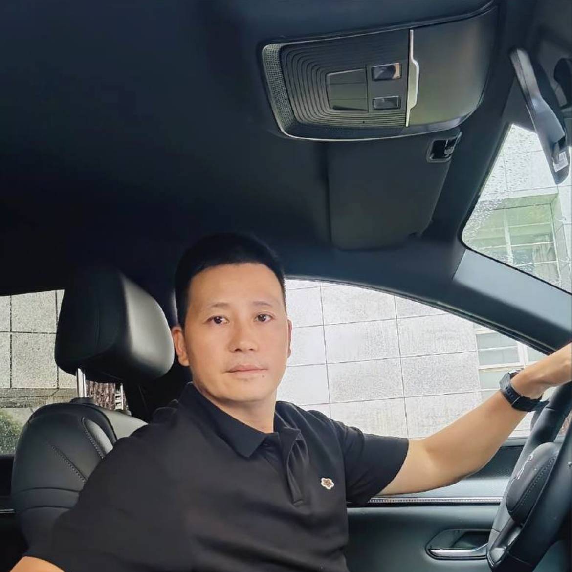 高冷的树