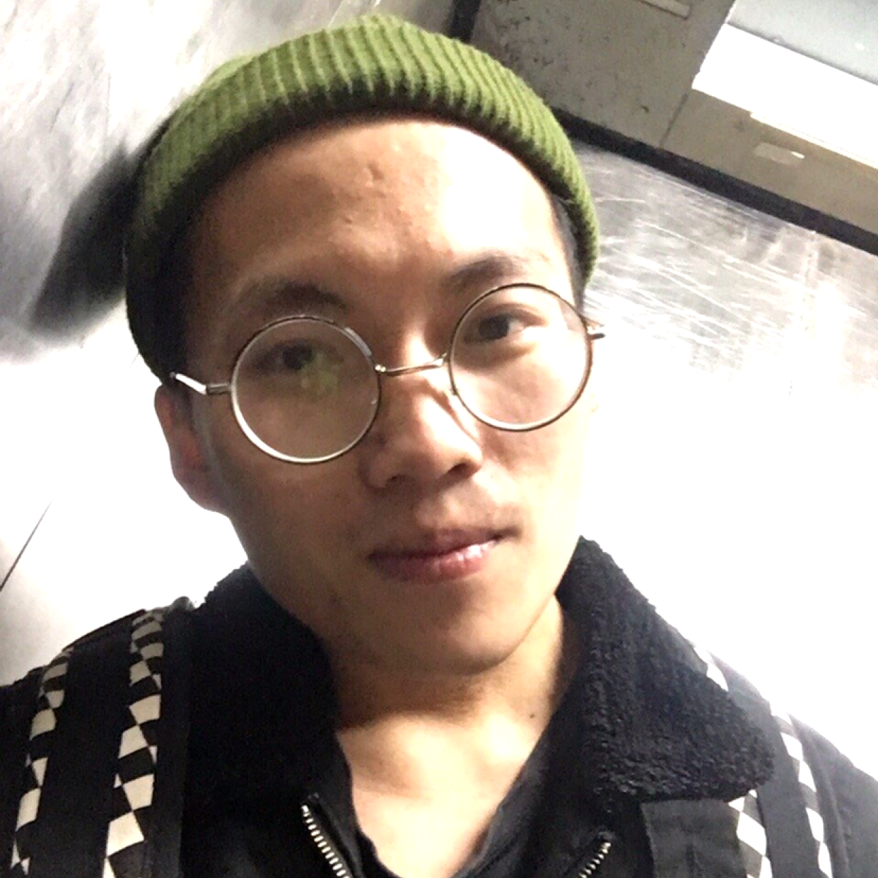 迷人的狗的照片