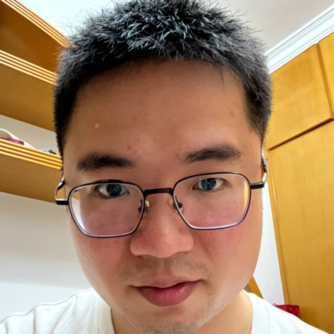 冬日演变淡然的照片