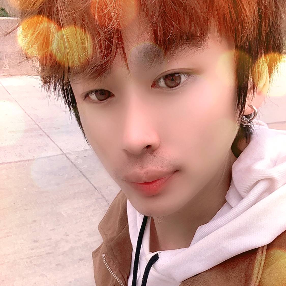 惊鸿凝眸孝顺的照片