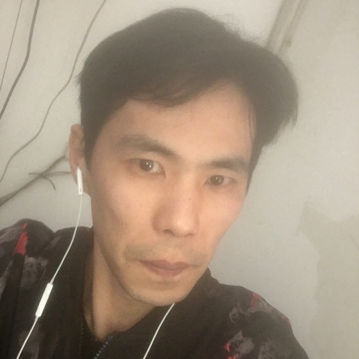 毛豆漫步潇洒的照片