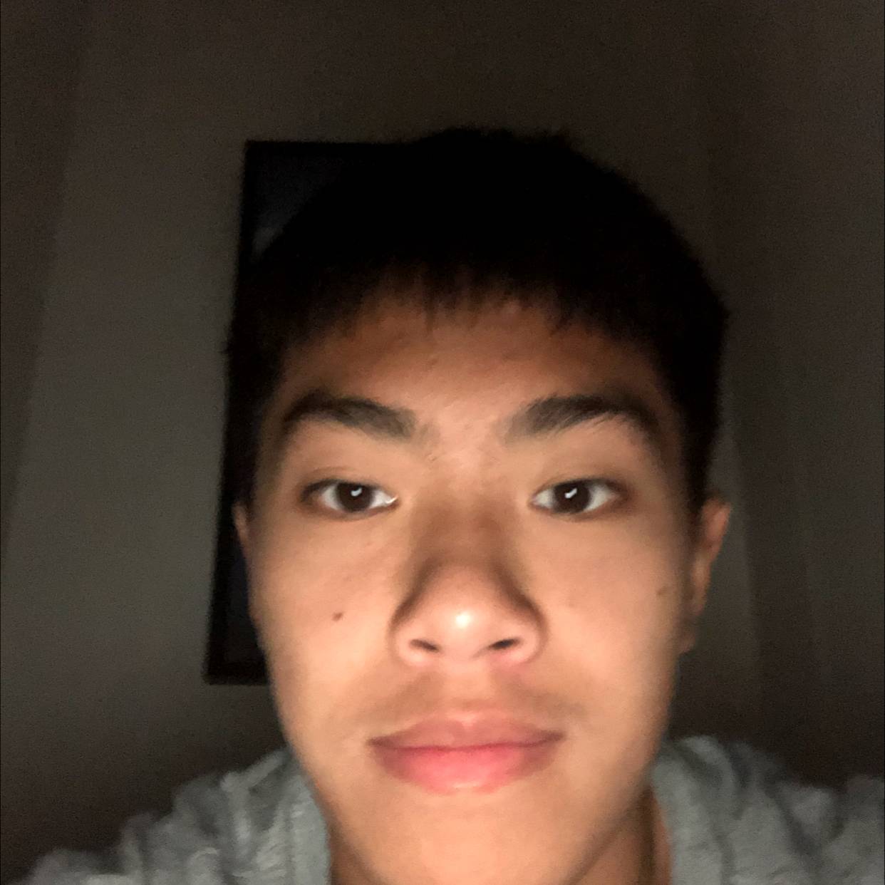 笨笨回首钢铁侠的照片