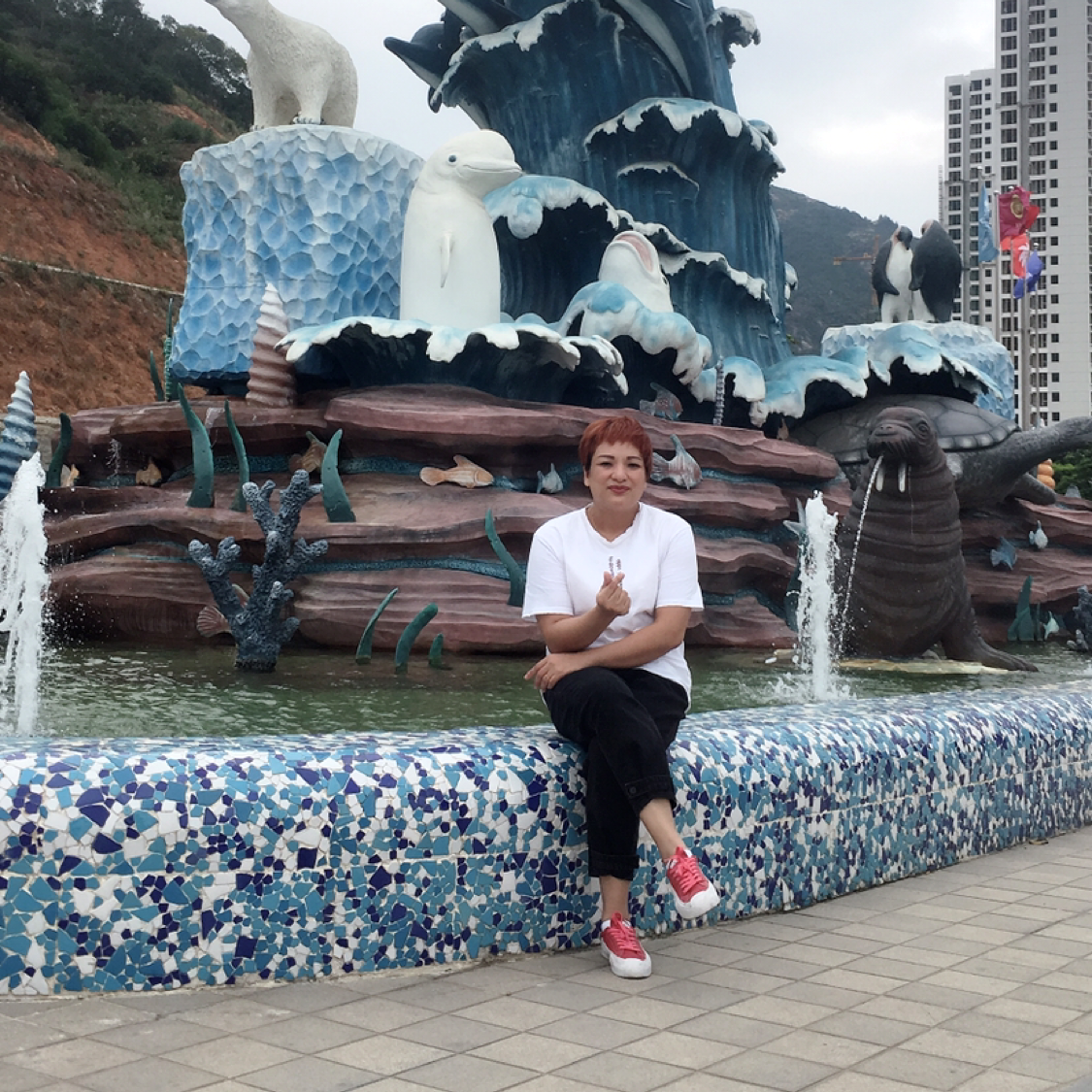 可靠的月光的照片