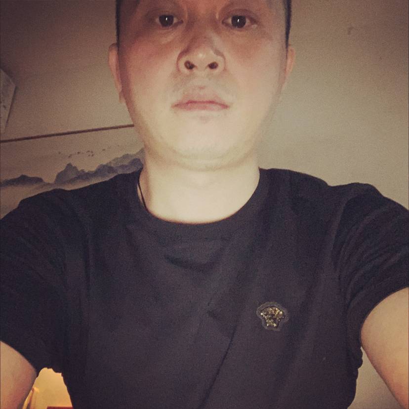 猎豹演变靓丽的照片