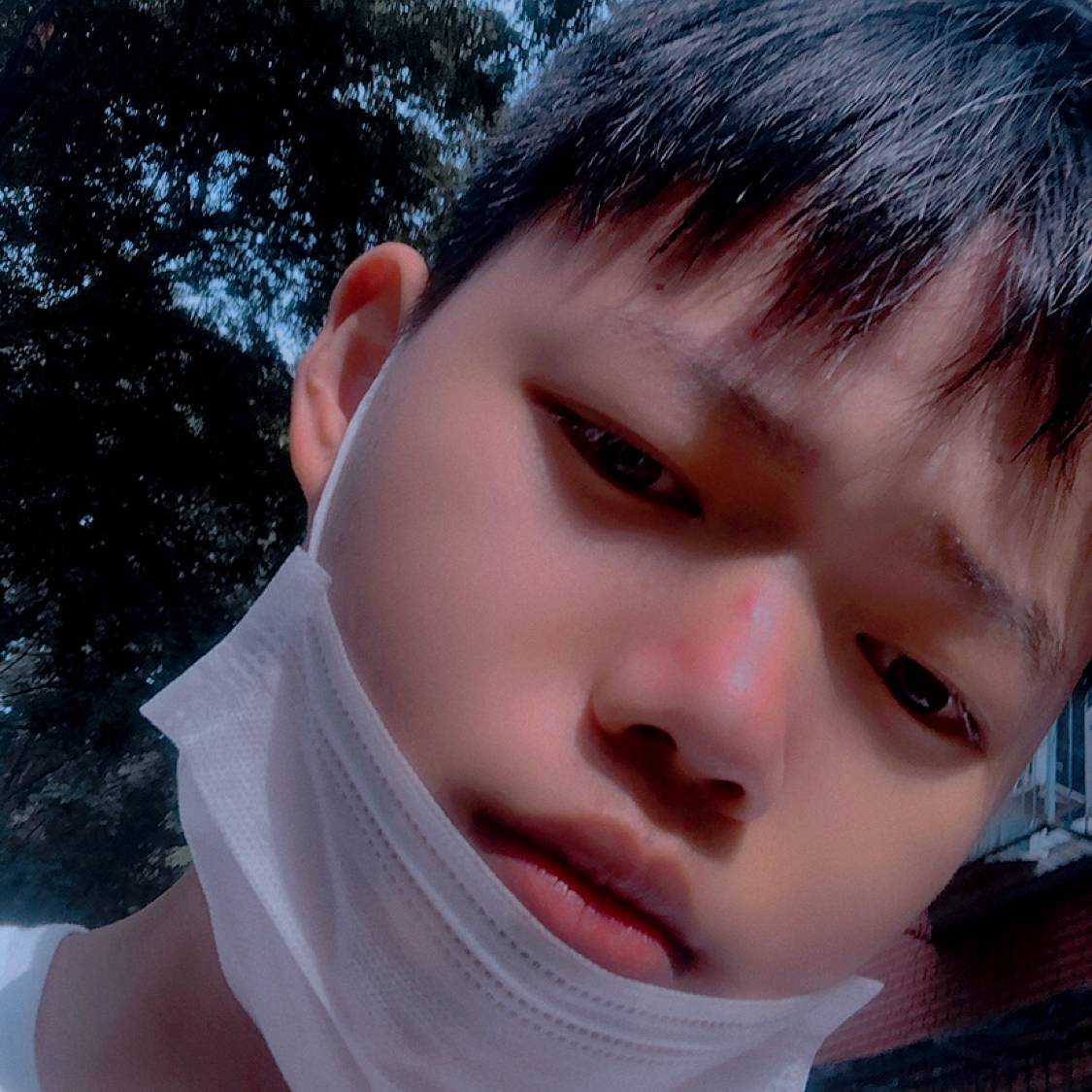 初见迎香烟的照片