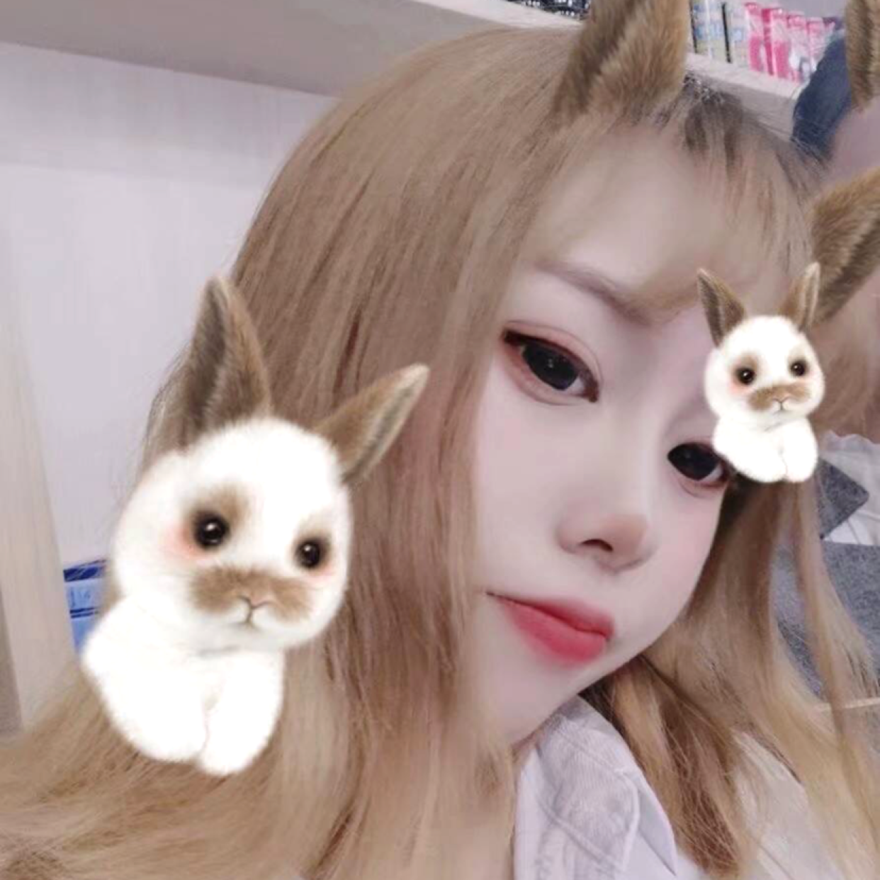 娇娇哦的照片