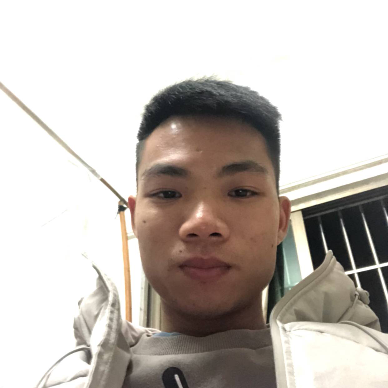 仙人掌蹁跹落寞的照片