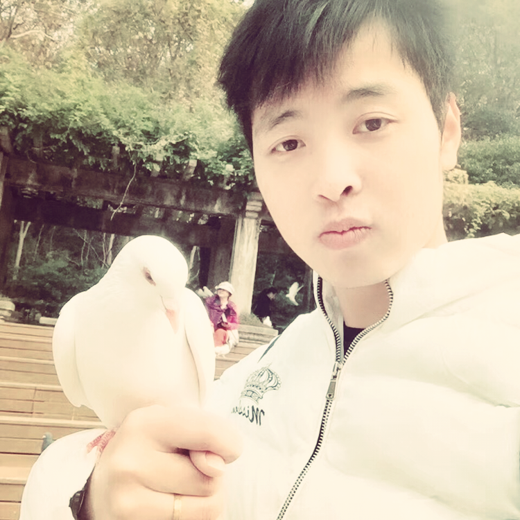 阔达与纸鹤的照片