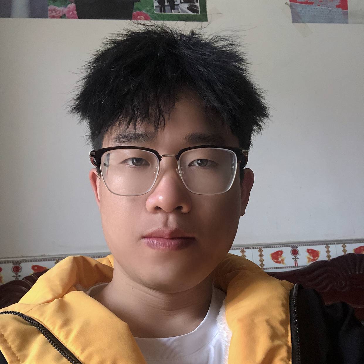 南极里的鱼的照片