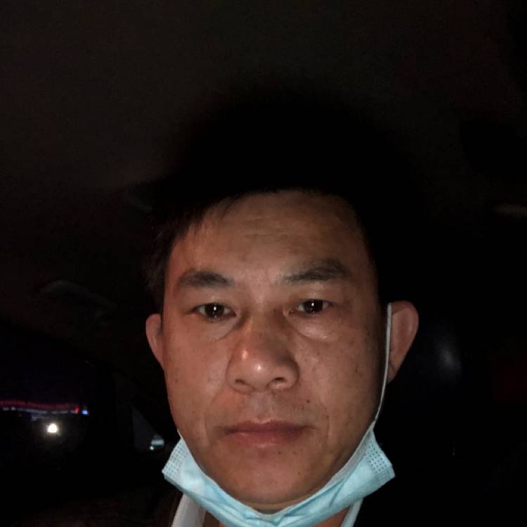 无情苦恋便当的照片
