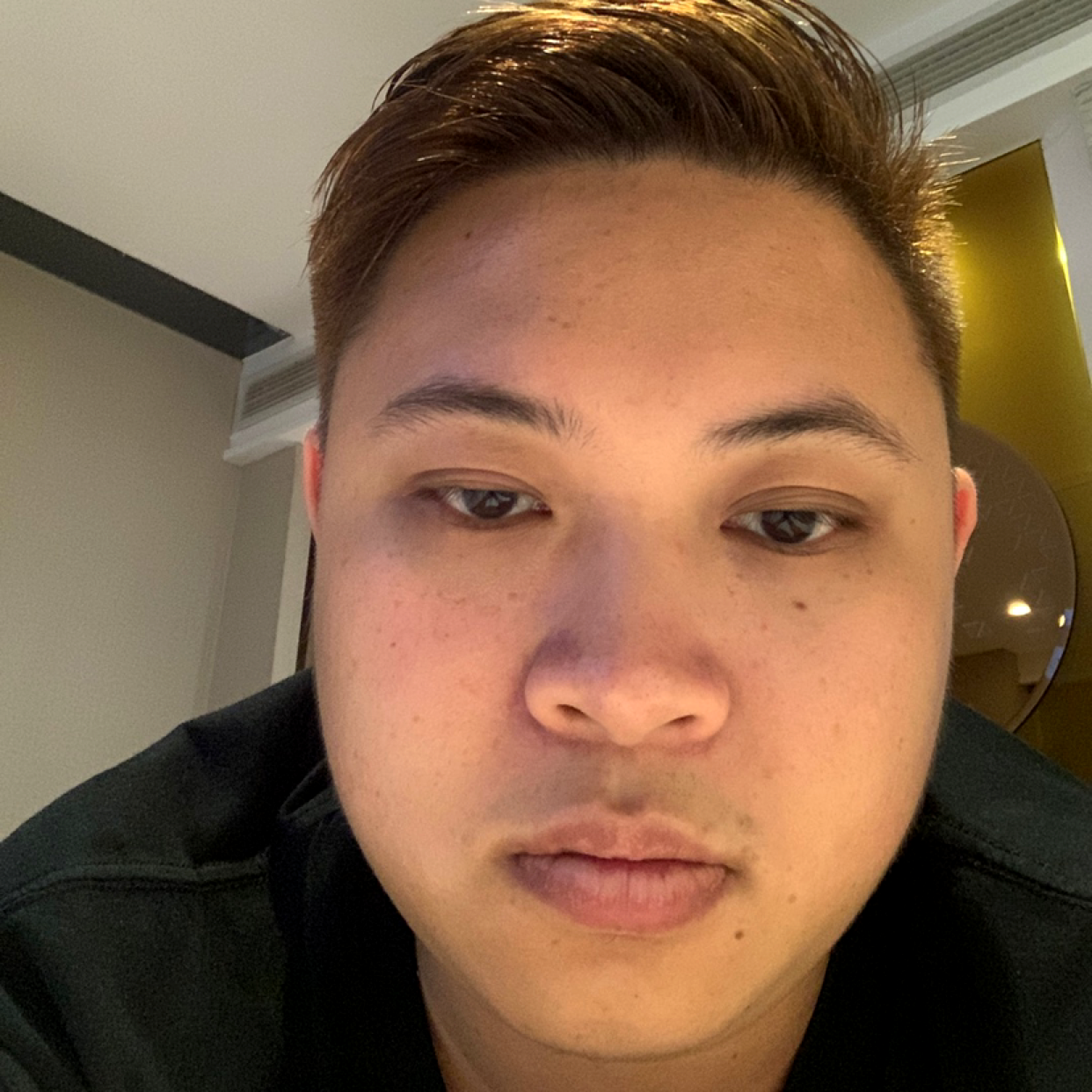 小鸽子演变轻松的照片