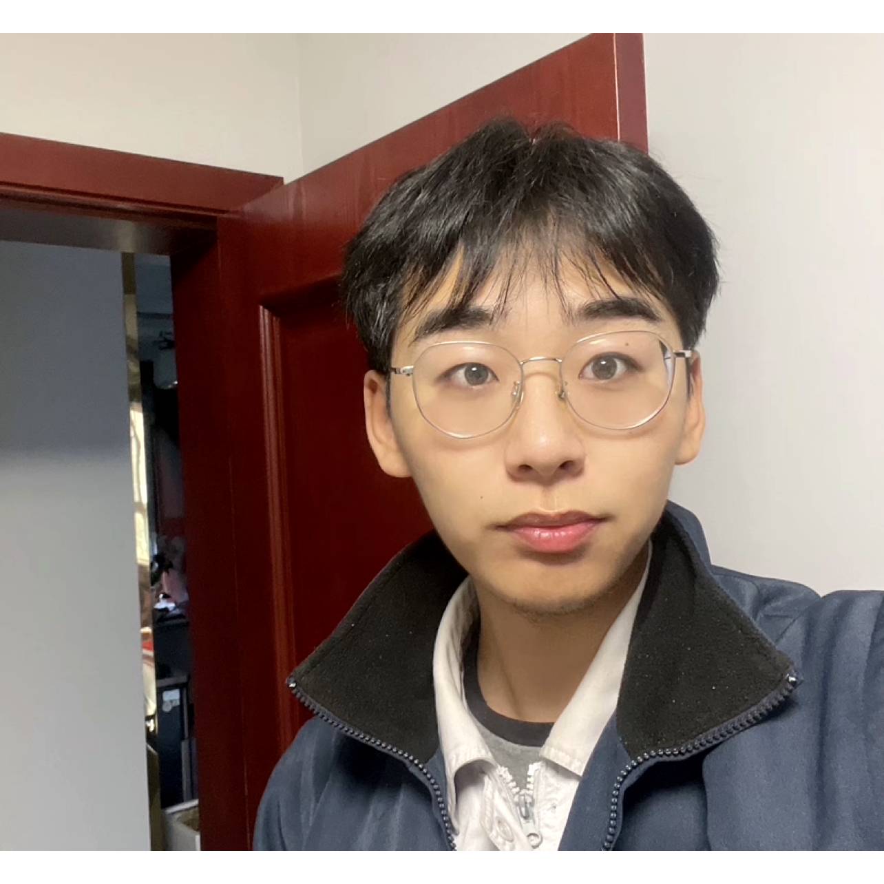 欢乐水牛的照片