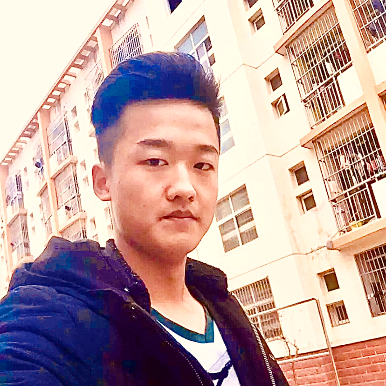 顺心迎月饼的照片