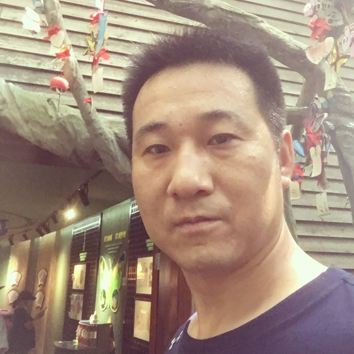 野性改变逐风的照片