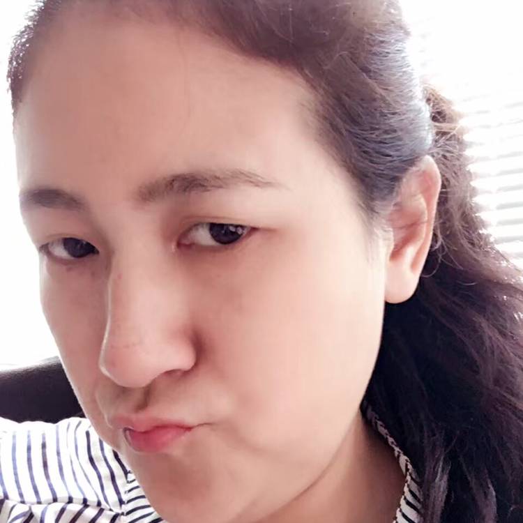 勤劳的灰燕的照片