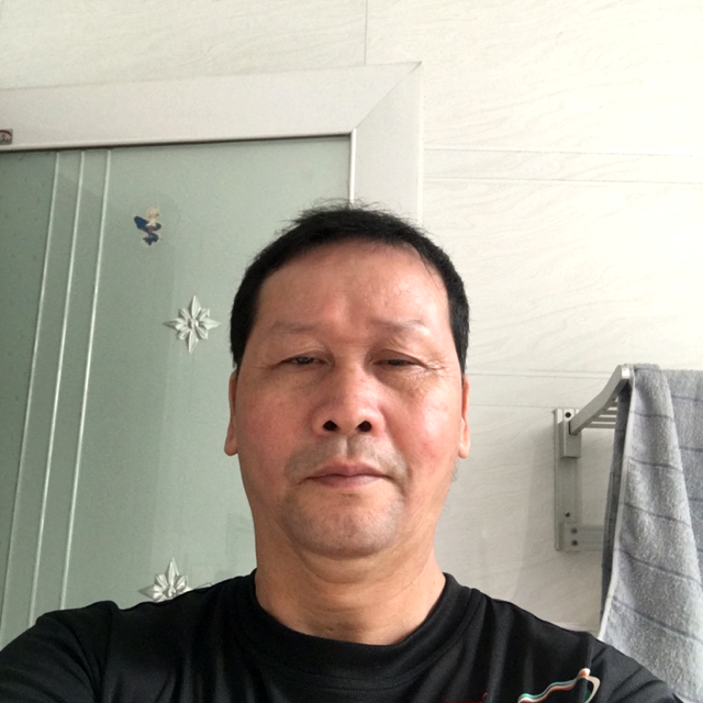 小鸽子請端庄的照片