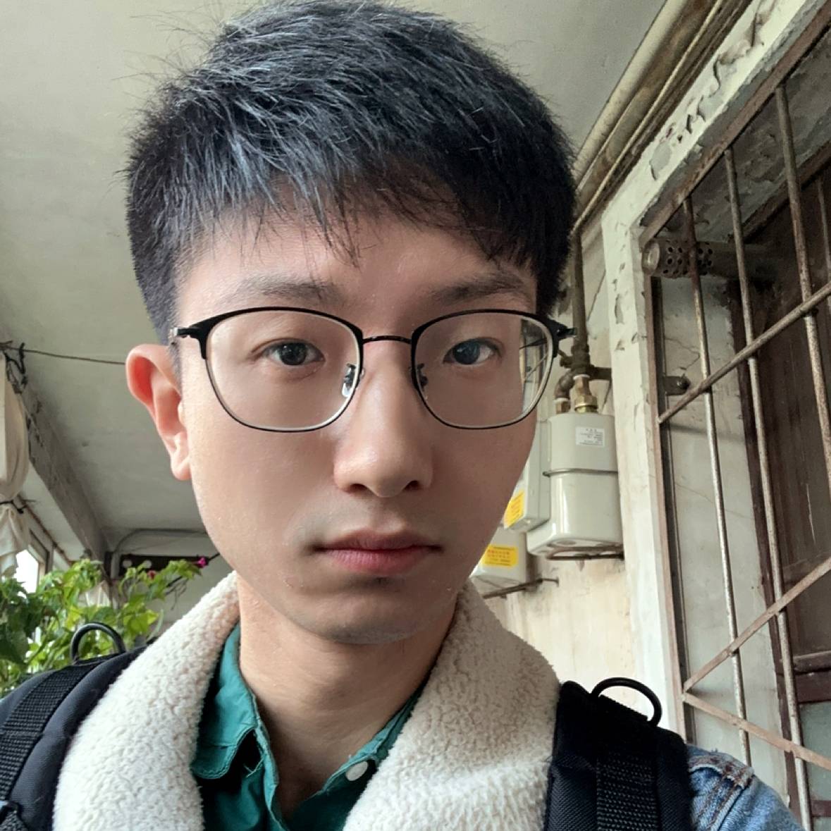 是个真球迷的照片