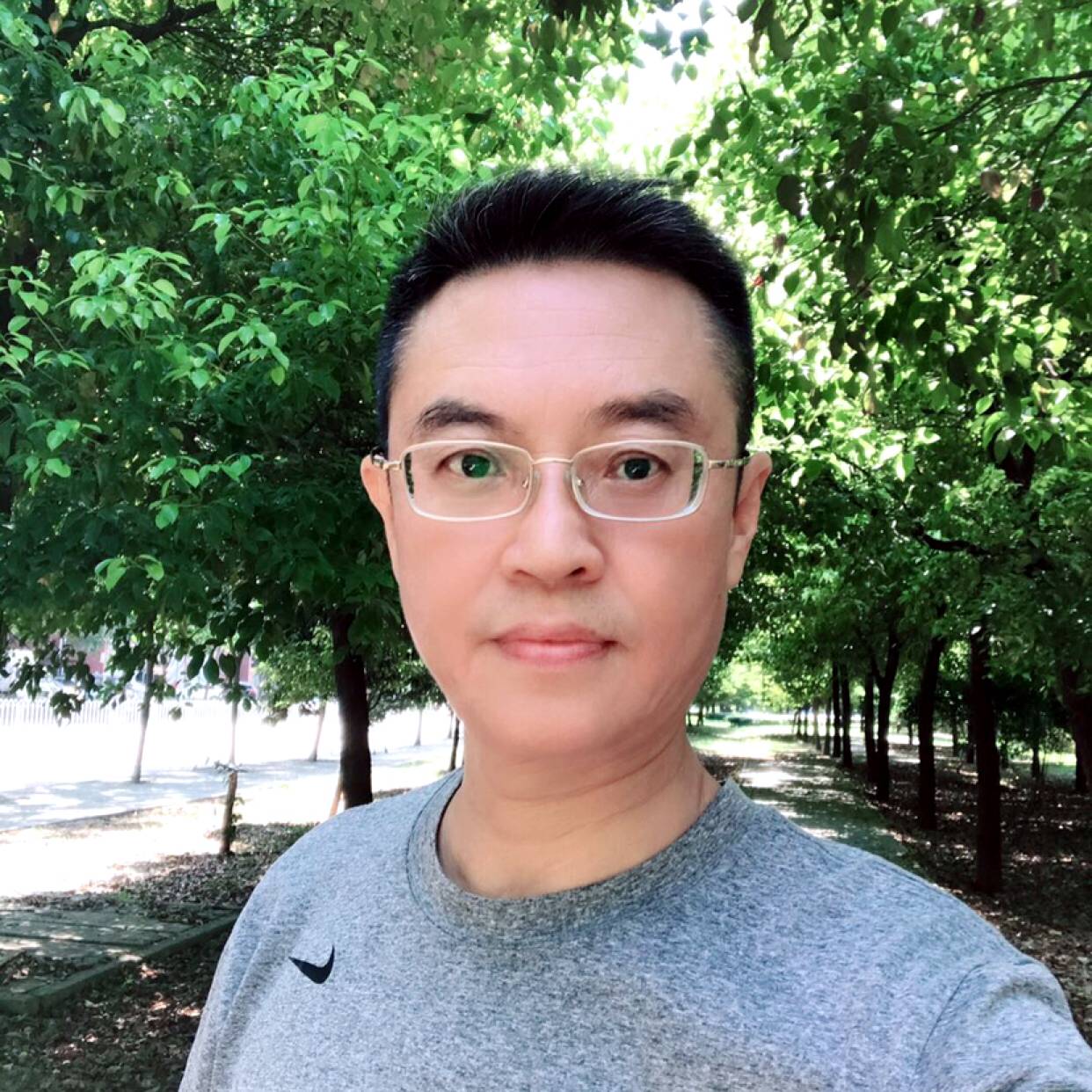 菠萝含糊的照片