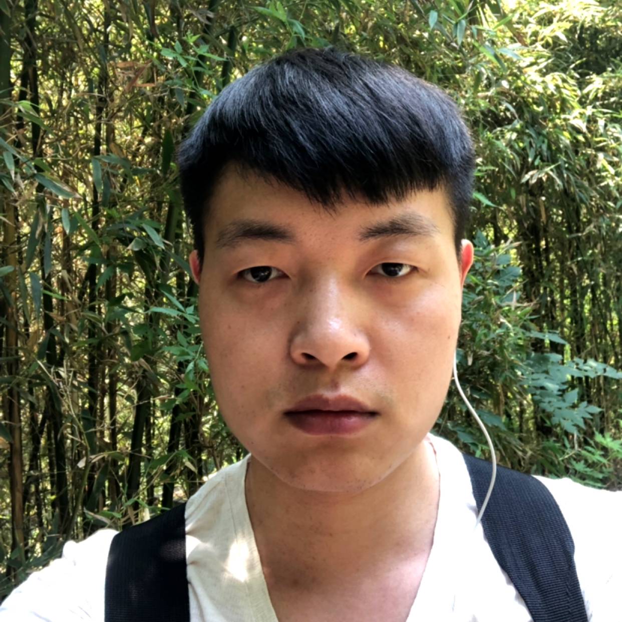 手可摘星辰11的照片