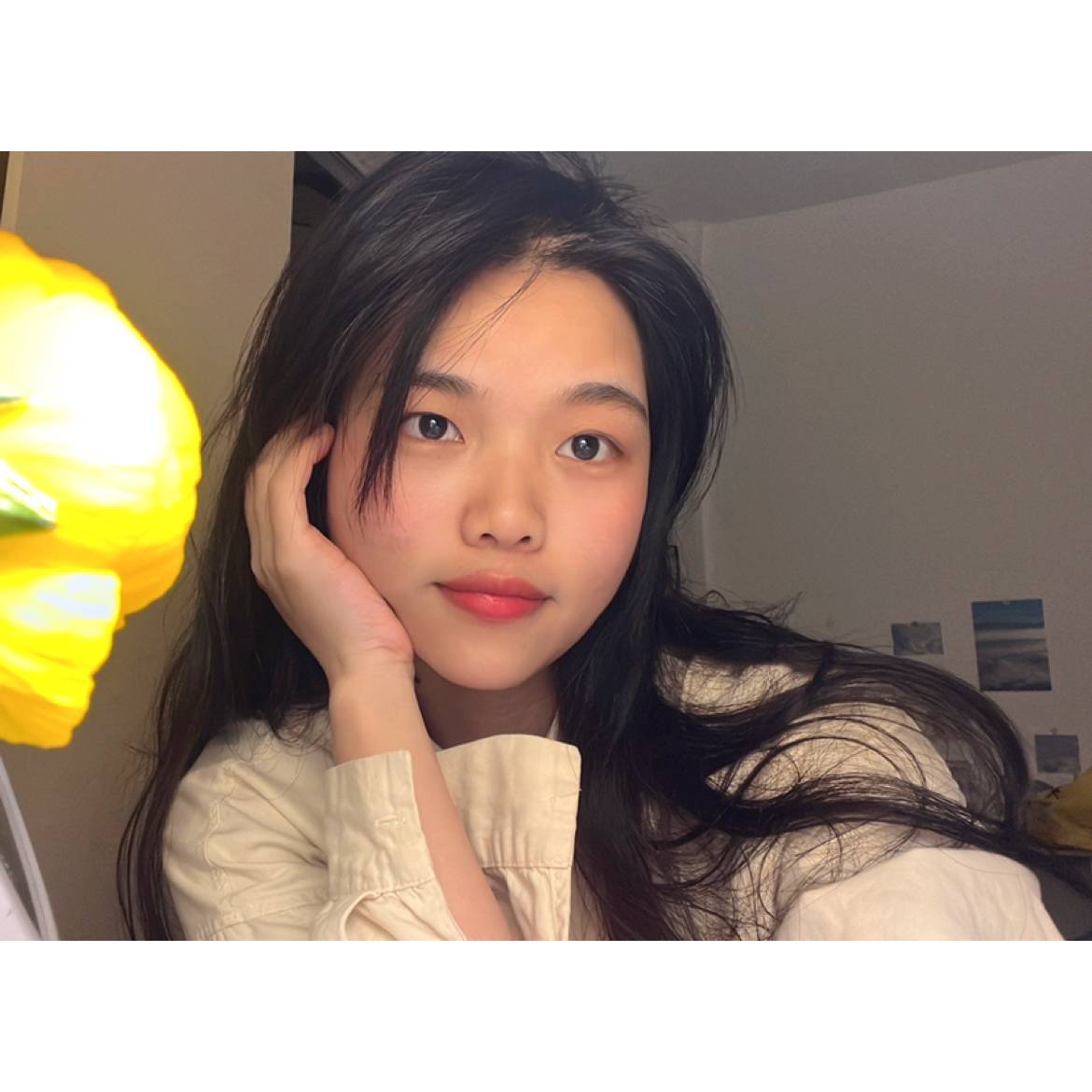 哈哈的照片