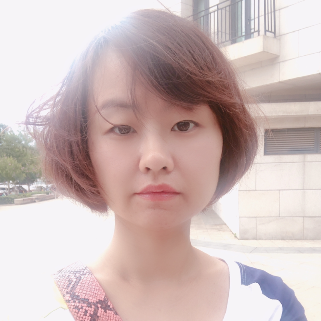 稻草人279的照片