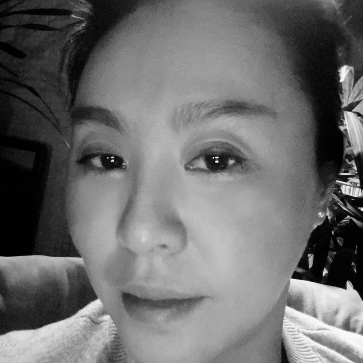 白猫吉祥的照片