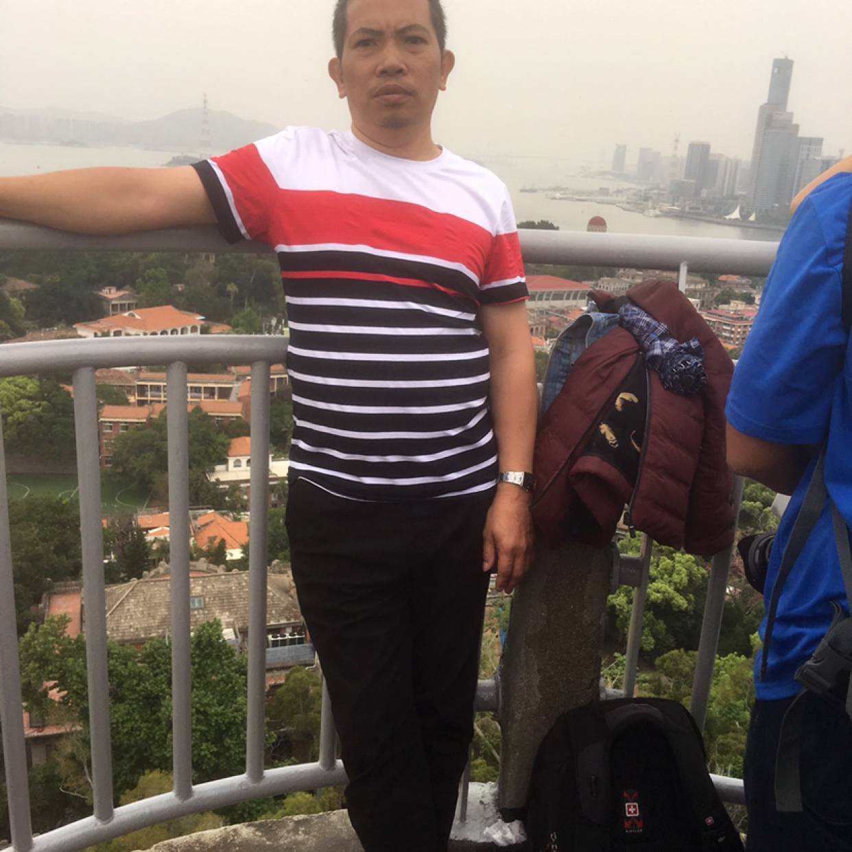 小天鹅笑幽默的照片