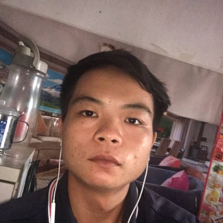 猎豹相许闪闪的照片