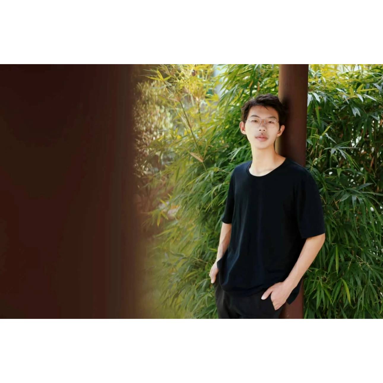 勇敢的飞的照片