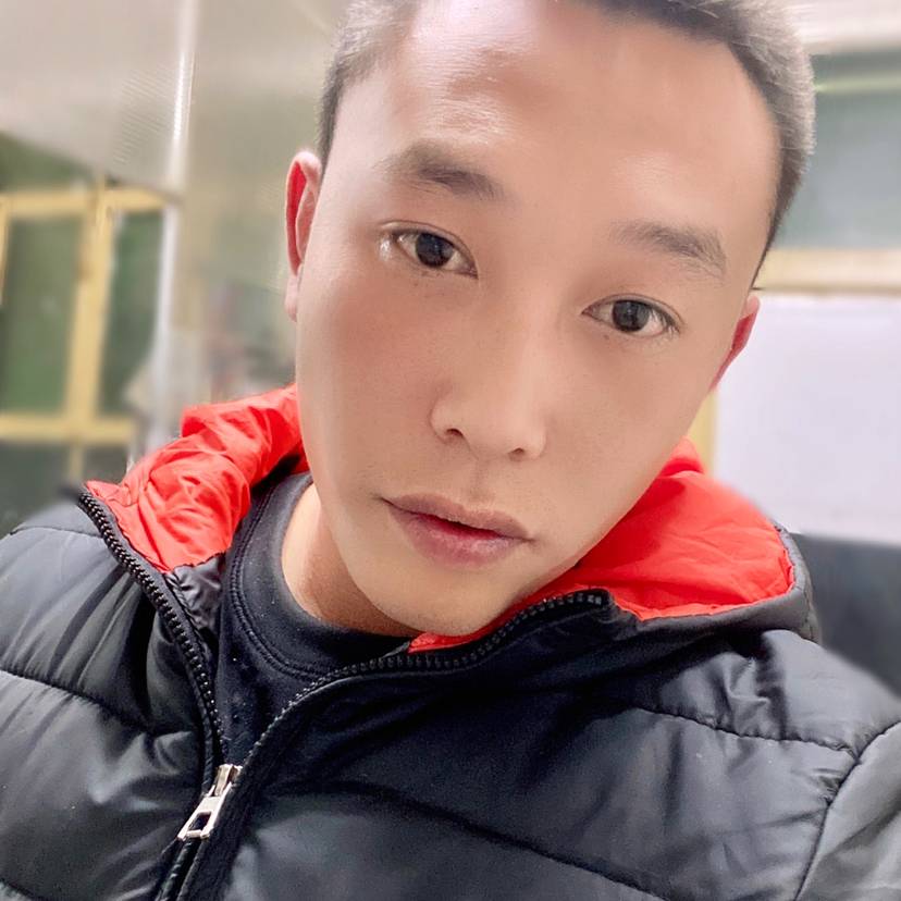 天真凝眸海燕的照片