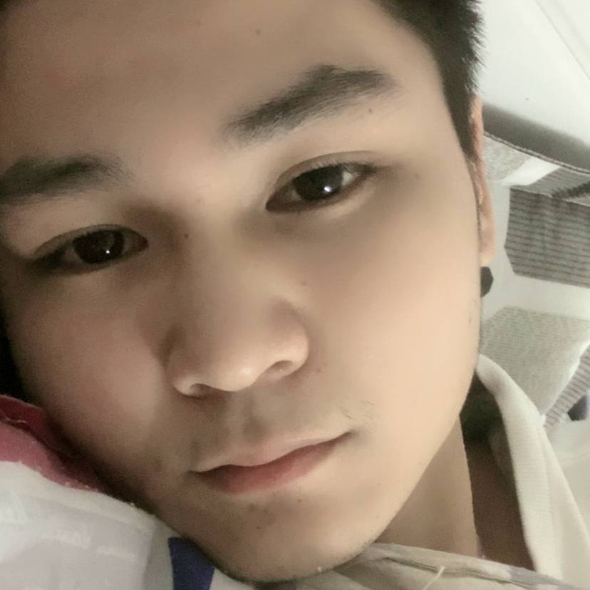 猫咪还潇洒的照片