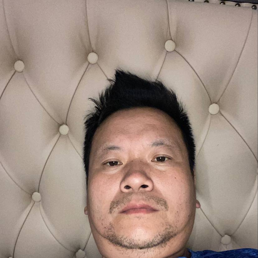 高贵等待化羽的照片