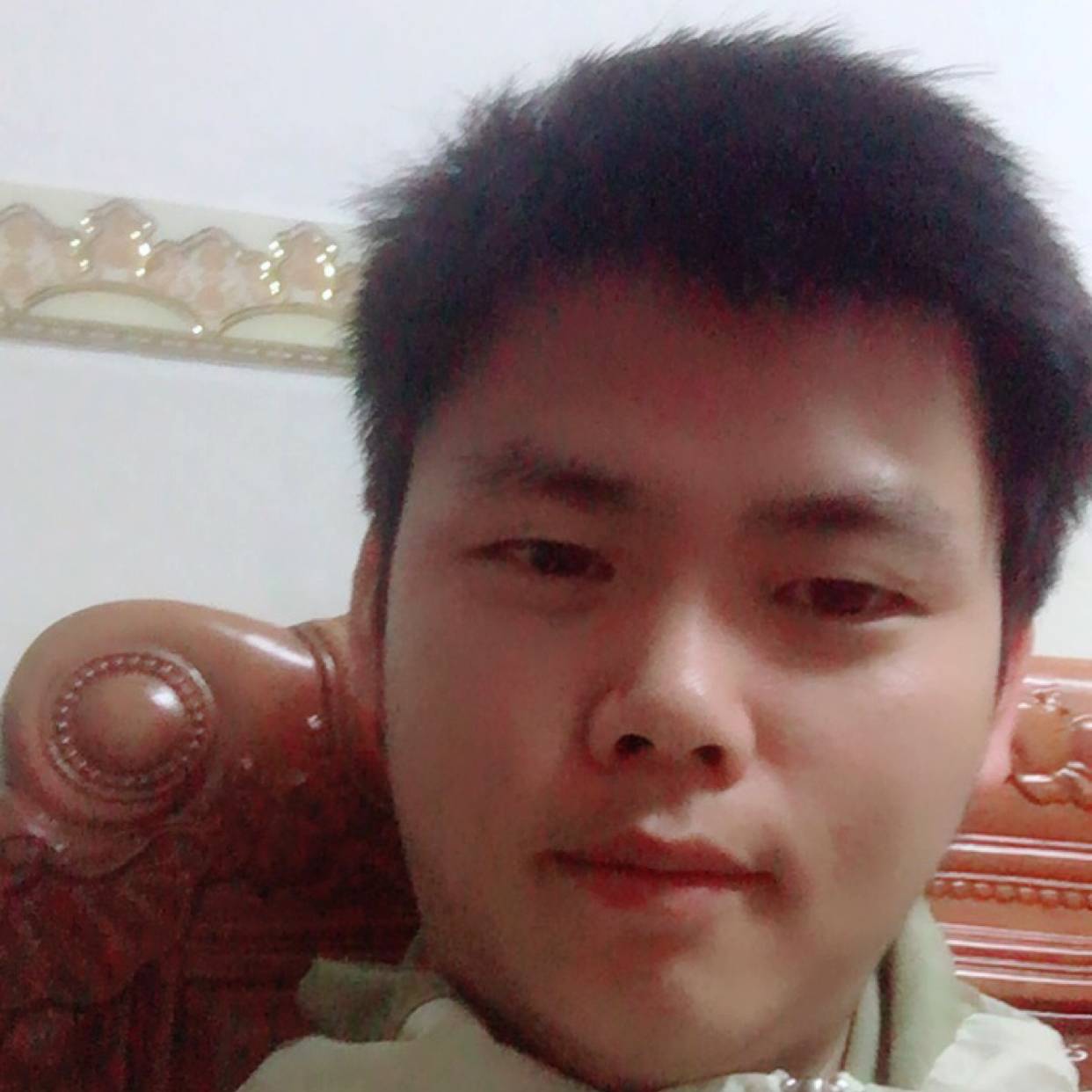 翅膀生动的照片
