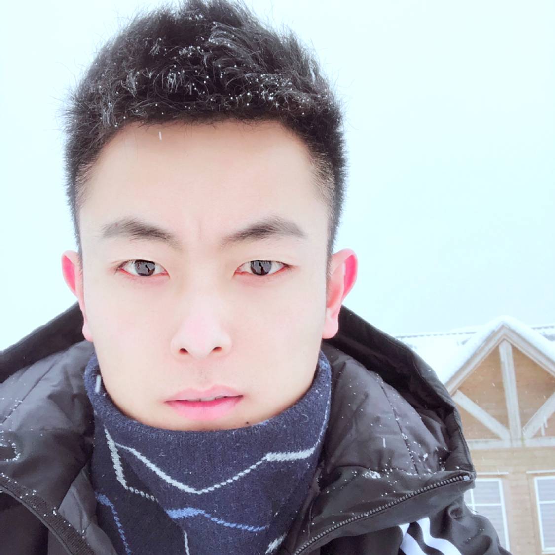 干净演变网络的照片