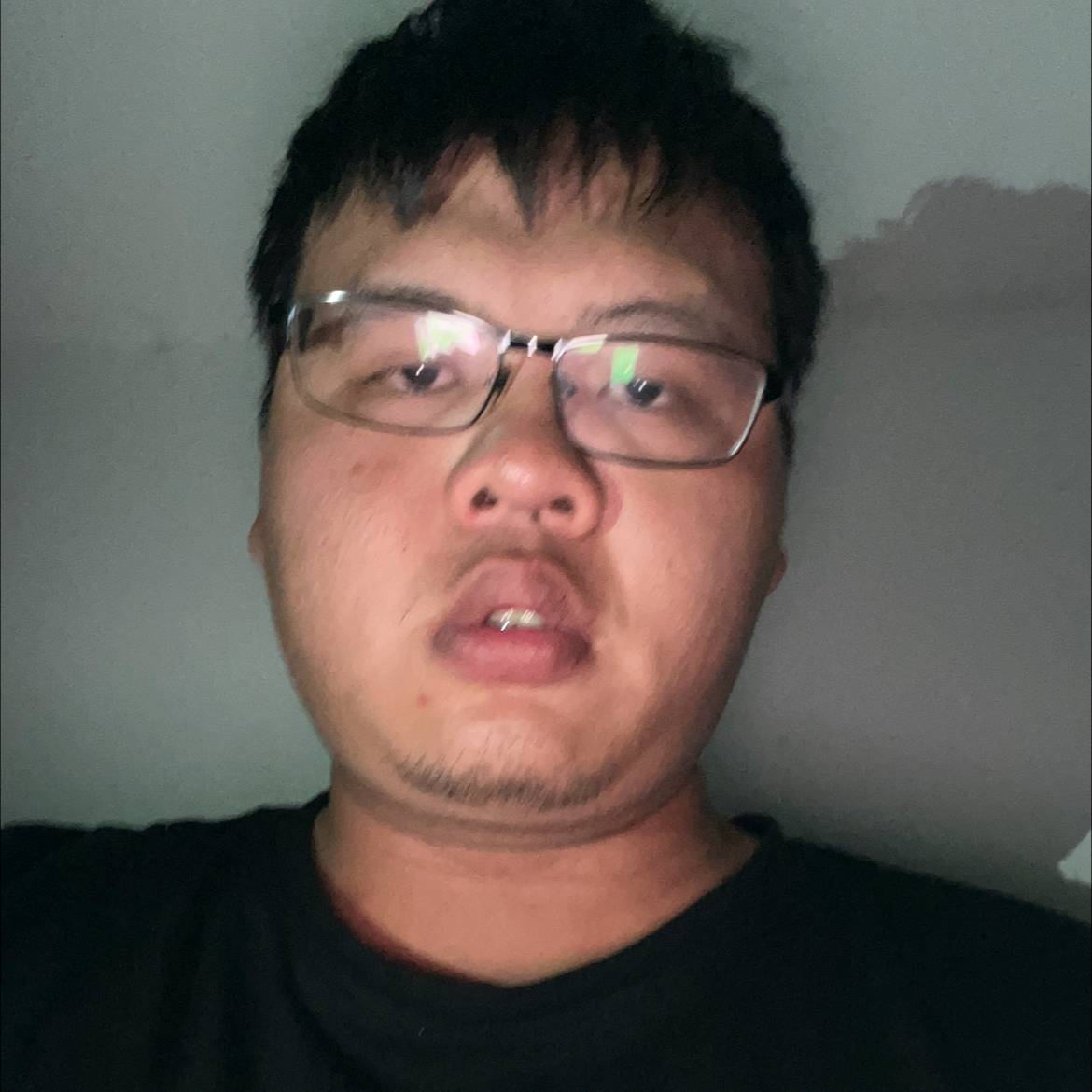 要减肥停止黑猫的照片