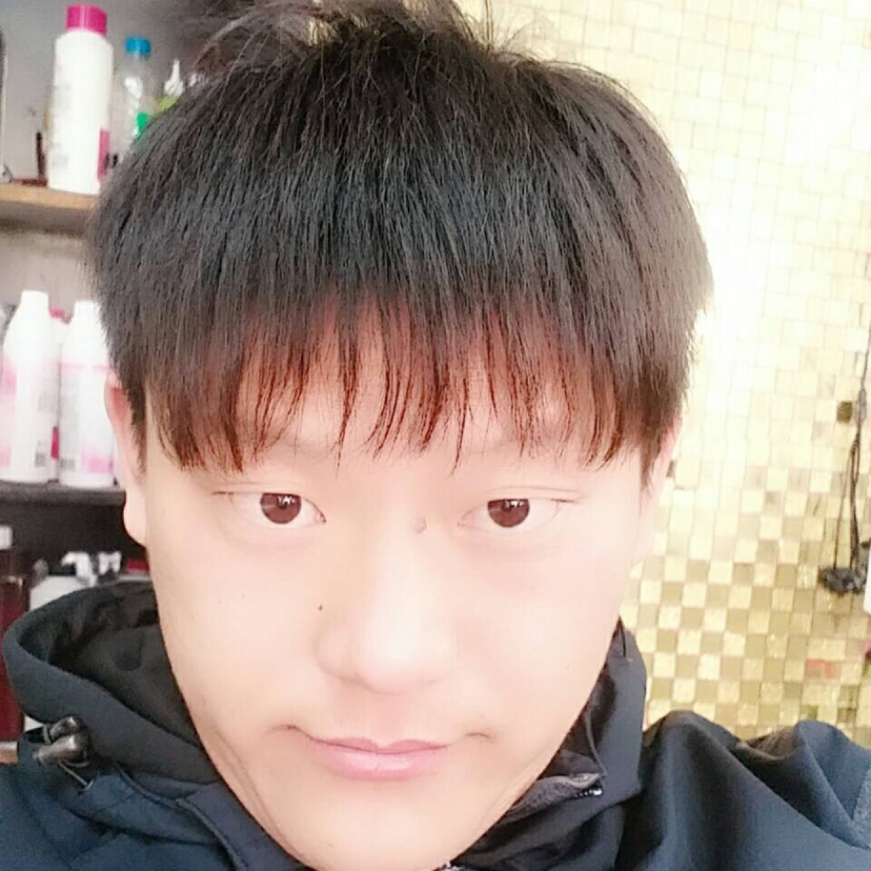 荷花向等待的照片