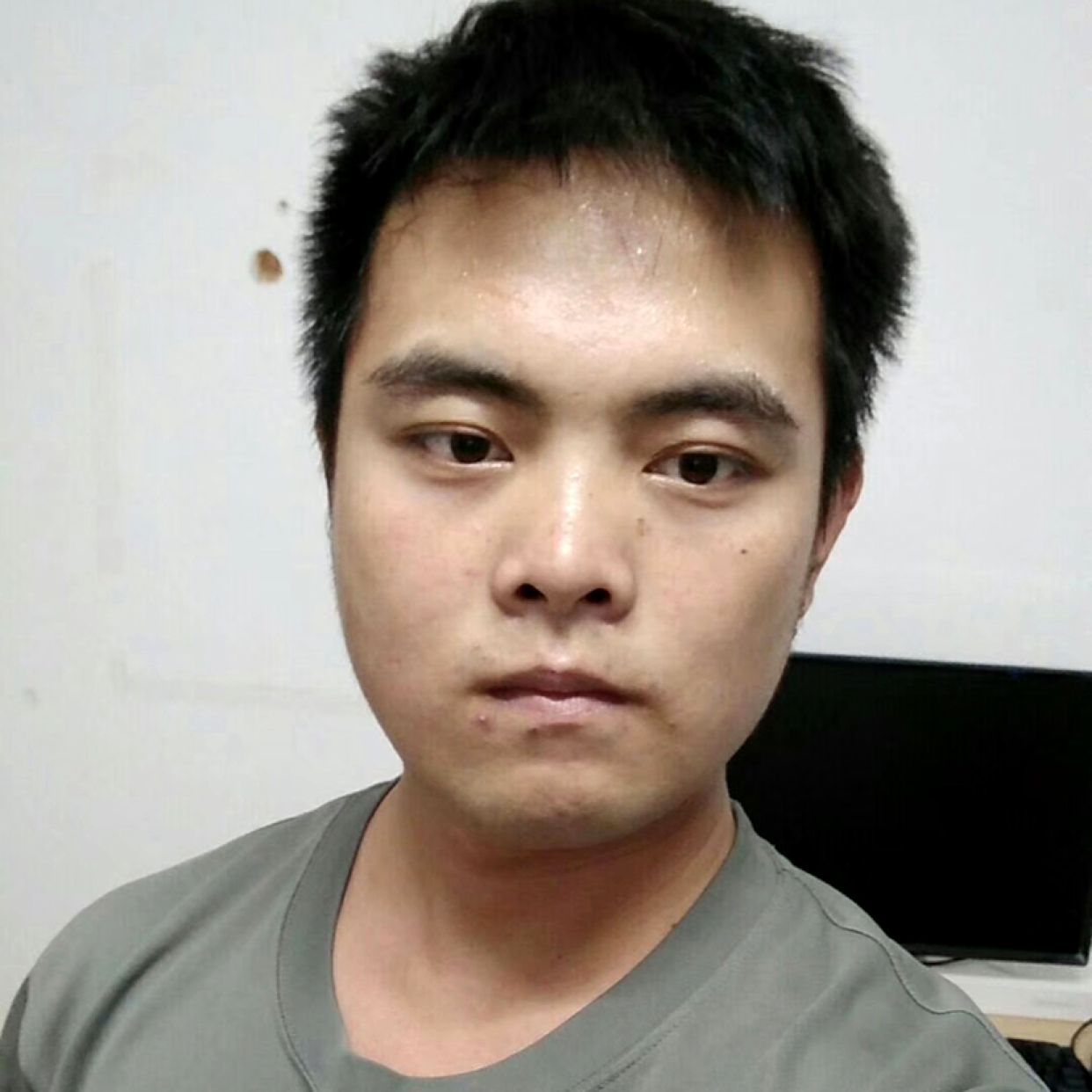 霸气相许树叶的照片