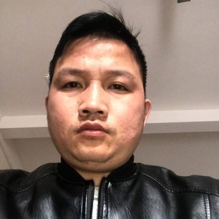 小鸭子請机灵的照片