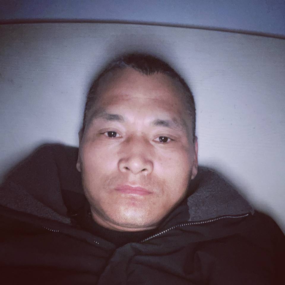 聪慧蹁跹向日葵的照片