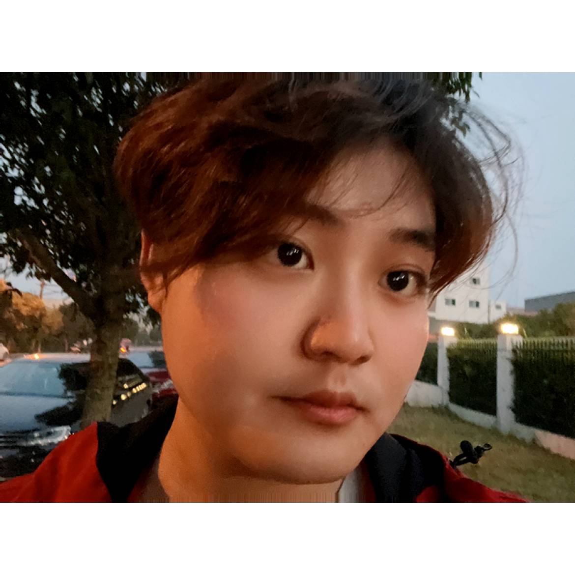 苏苏苏苏哲的照片