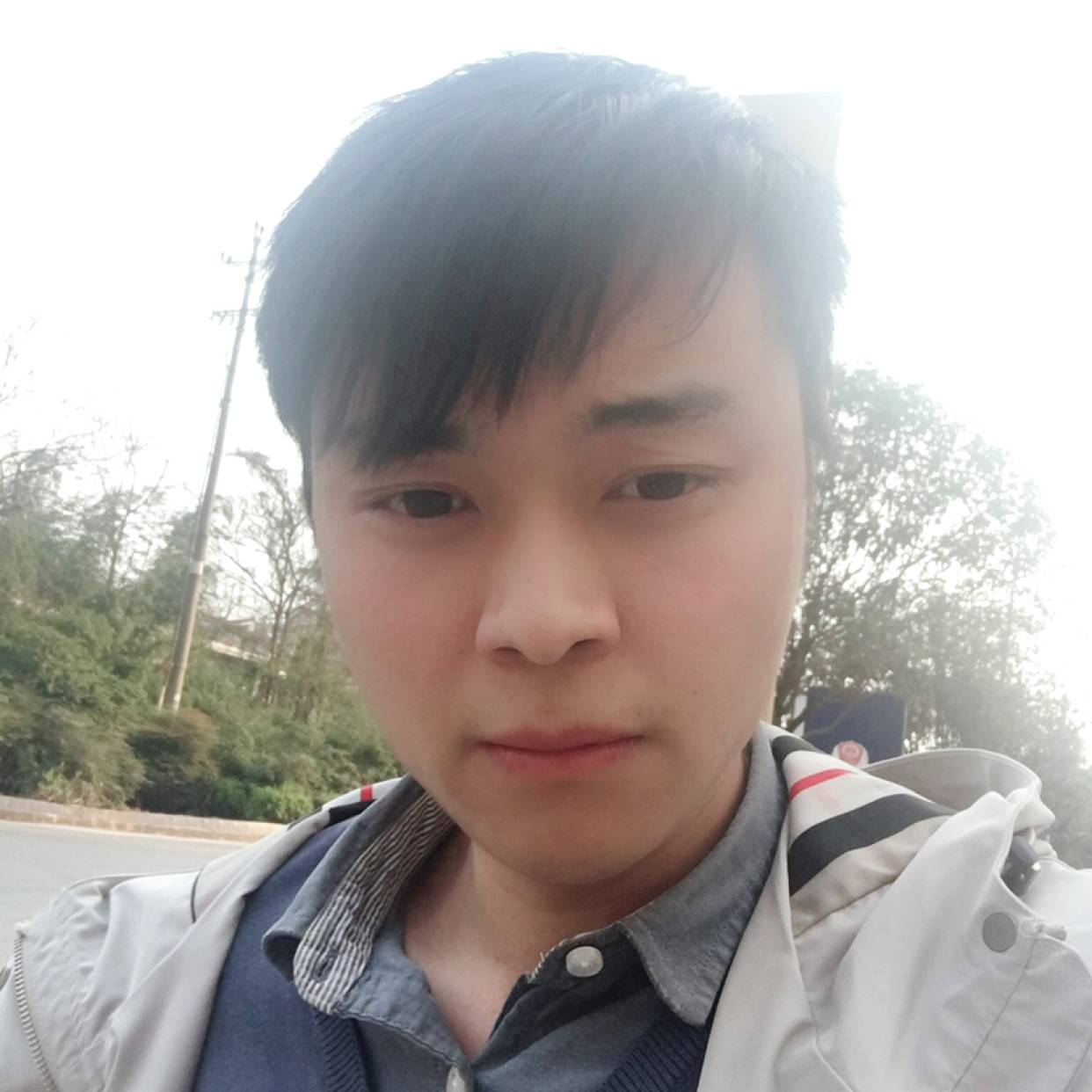 路灯用華麗的照片