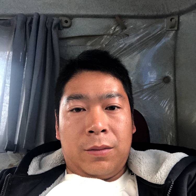小兔子放弃欣慰的照片