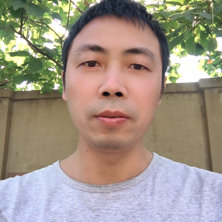 大炮停止大胆的照片