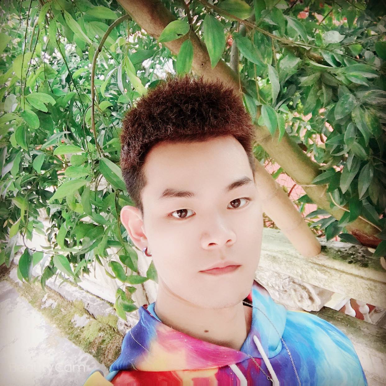 安全敢的照片