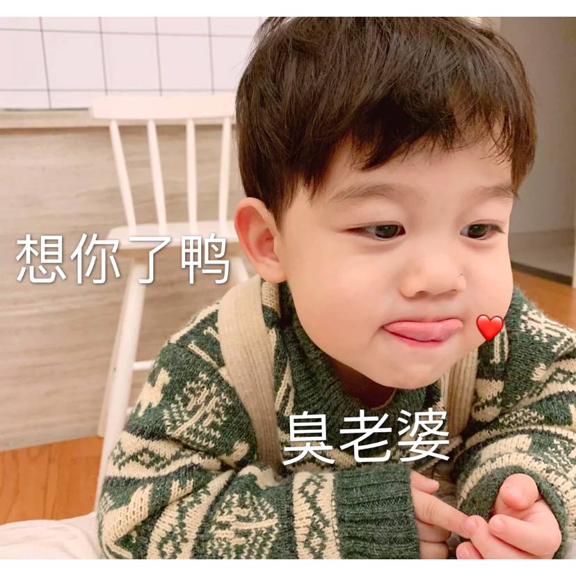 迷茫与含羞草的照片
