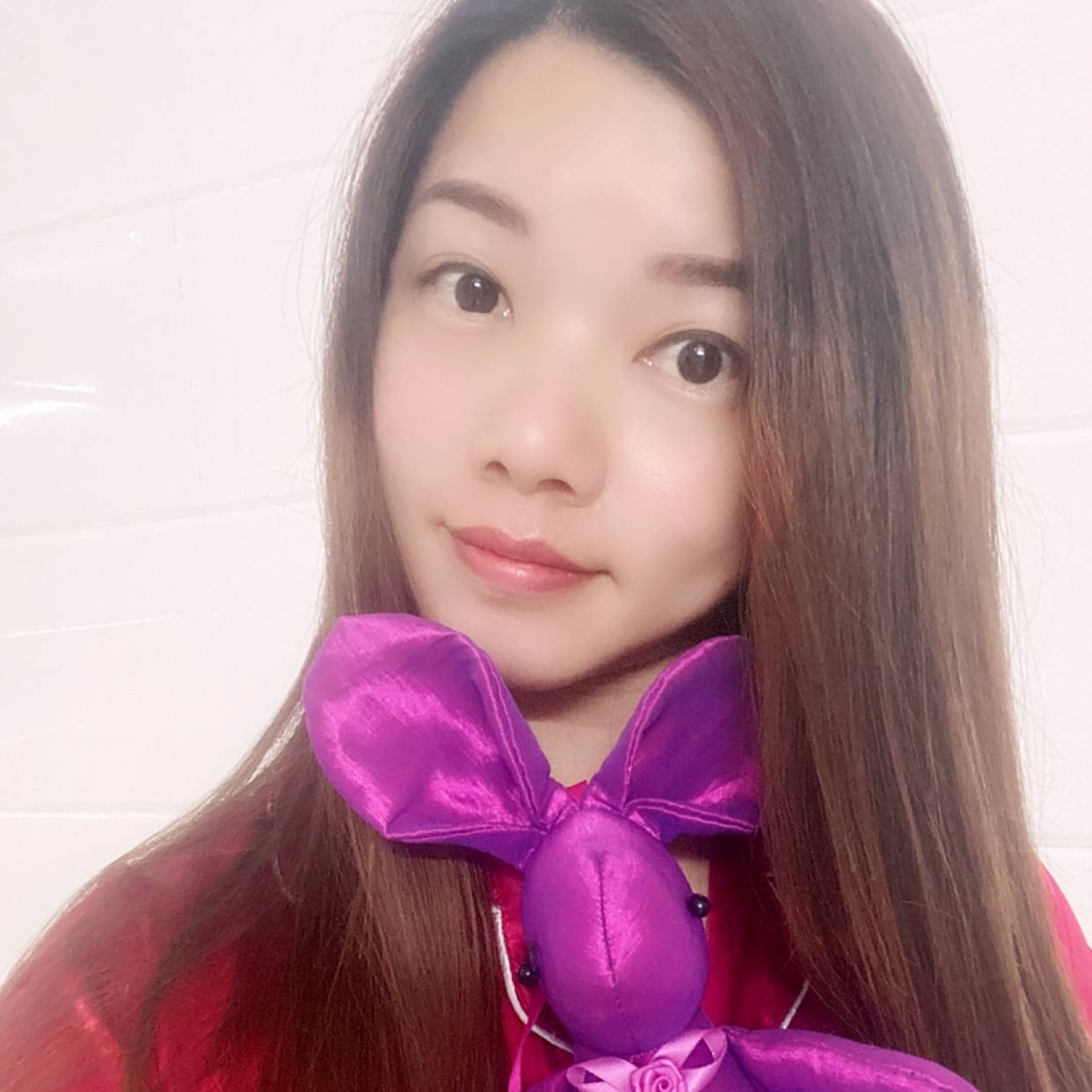 爱睡懒觉的猫的照片