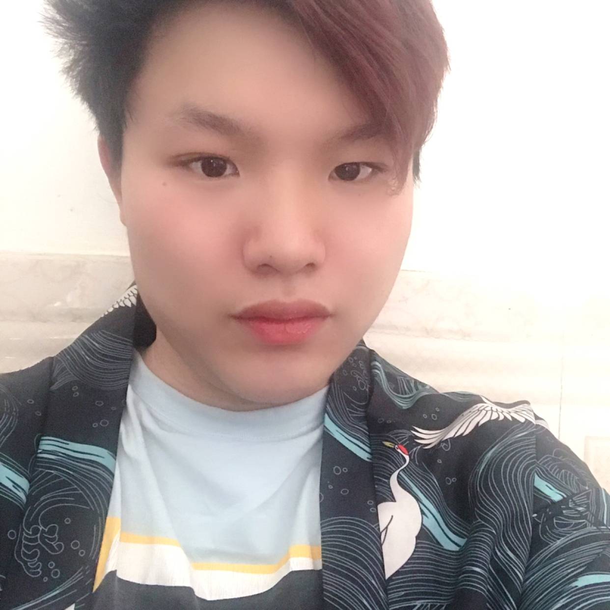 沙皮狗de忧伤的照片